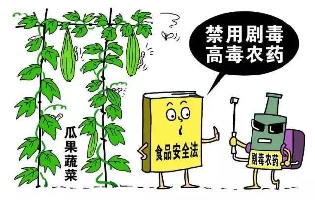 如何防止和減少農(nóng)藥在種植業(yè)產(chǎn)品中的殘留