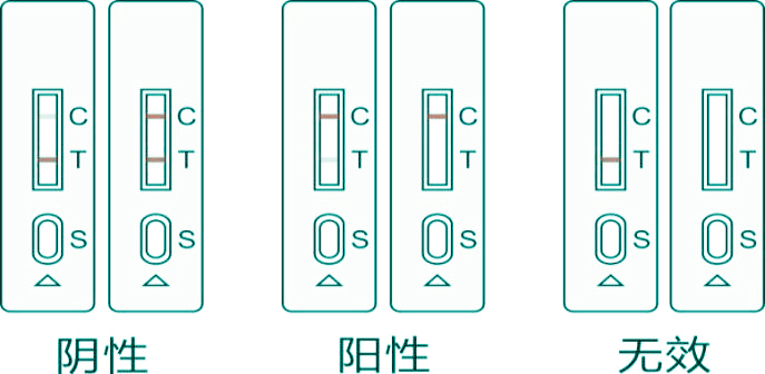 “瘦肉精”速檢測卡結(jié)果判讀