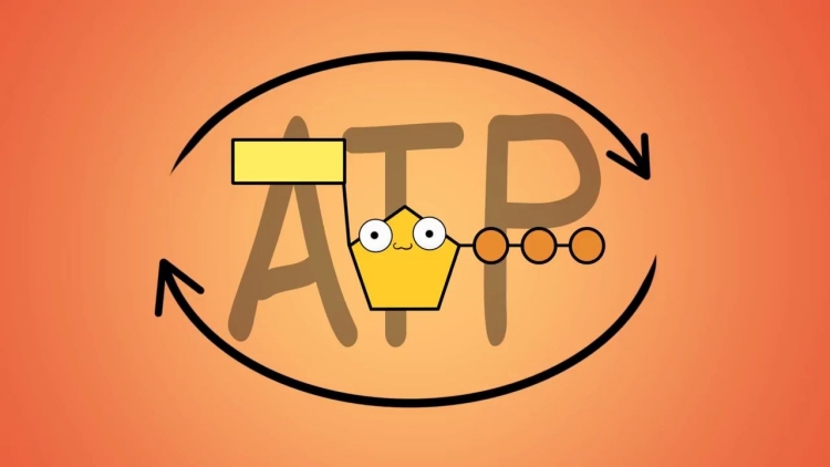 ATP快速熒光檢測(cè)儀是一種高效、準(zhǔn)確、易操作的設(shè)備